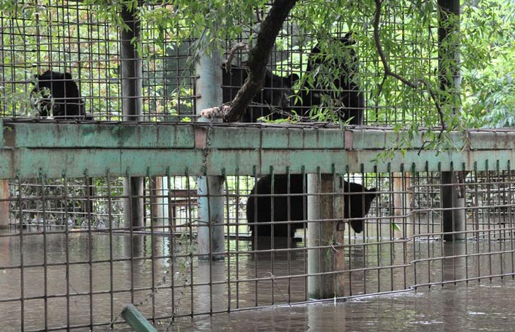 Фото с сайта Администрации Уссурийского городского округа
